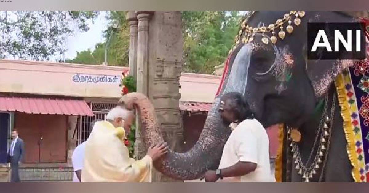 PM Modi offers prayers at Sri Ranganathaswamy Temple, blessed by elephant named 'Andal'